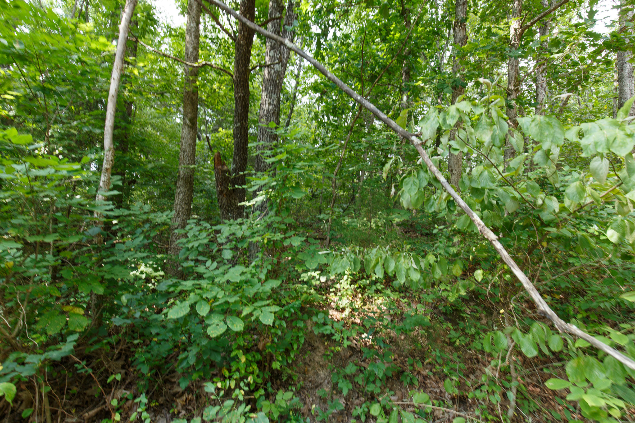 Tract 56 at Springlake in Miller County, Missouri