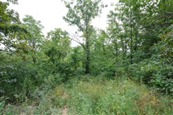 property photo for Springlake Plat 5 Tract 170, 0.15 acres for sale in Miller County, Missouri