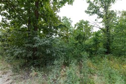 property photo for Springlake Plat 5 Tract 170, 0.15 acres for sale in Miller County, Missouri